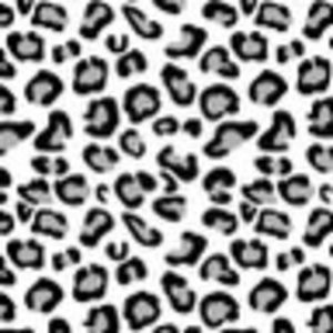 Meet your Posher, Ella